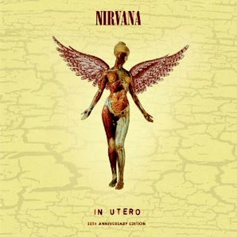NIRVANA - IN UTERO (1993 - 20th anniversary)