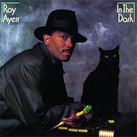 ROY AYERS - IN THE DARK (1984)