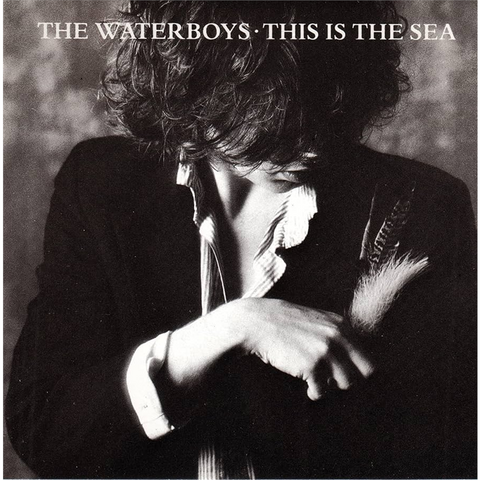 THE WATERBOYS - THIS IS THE SEA
