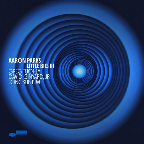 AARON PARKS - LITTLE BIG III (LP - 2024)