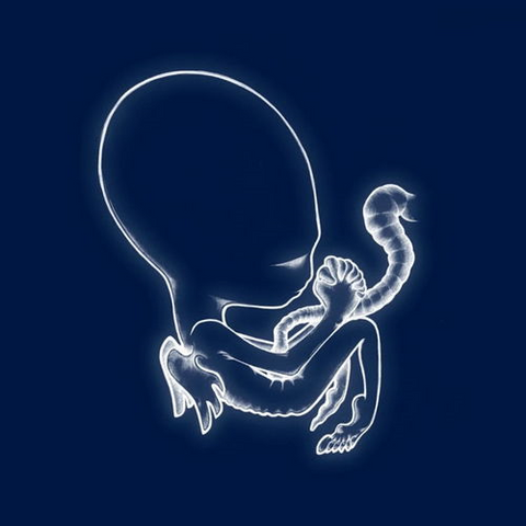 SIGUR ROS - AGAETIS BYRJUN (2LP - INDIE EXCL | REM’21 - 1999)