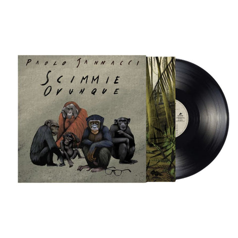 SEMMSTORE|6f7034688b2b07b8506f00c7816f693c