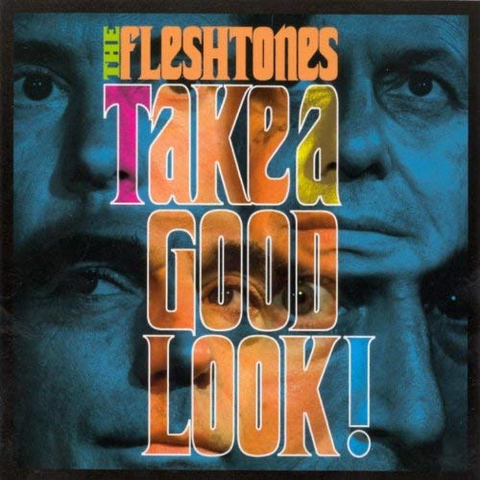 FLESHTONES - TAKE A GOOD LOOK! (2008)