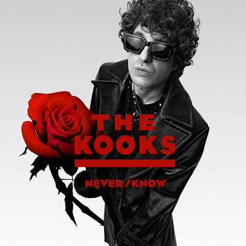 THE KOOKS - NEVER/KNOW (LP - BIANCO - 2025)