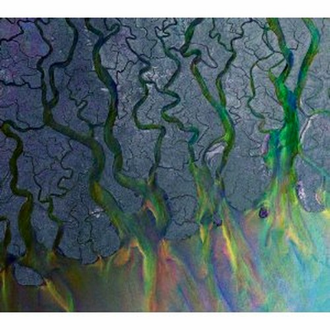 ALT-J - AN AWESOME WAVE (2012)