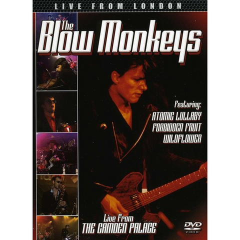 BLOW MONKEYS - LIVE FROM LONDON (DVD)