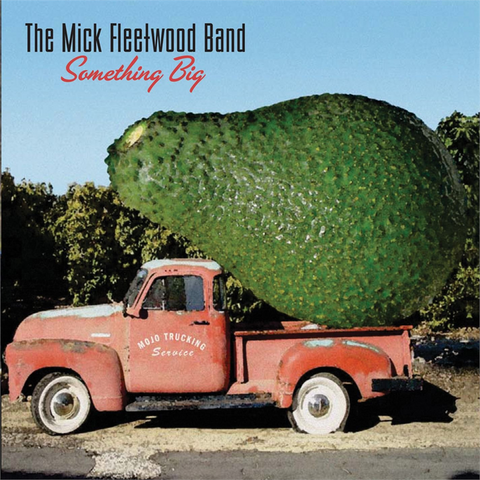 MICK FLEETWOOD BAND - SOMETHING BIG (2004)