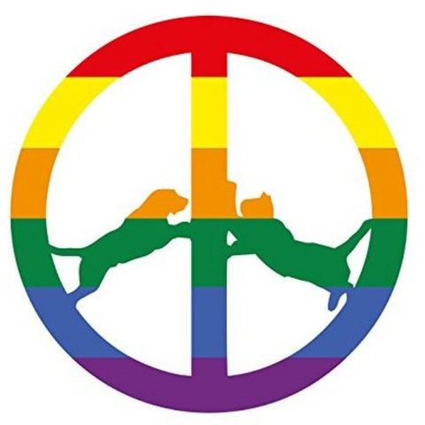 HYPE WILLIAMS - RAINBOW EDITION