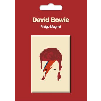 DAVID BOWIE - ALADDIN SANE - POP ART - magnete