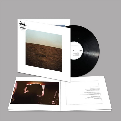 FINK - THE CITY IS COMING TO ERASE IT ALL (LP - 2026)