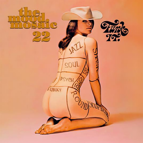 MOOD MOSAIC - ARTISTI VARI - THE MOOD MOSAIC 22 (2025 - COMPILATION)