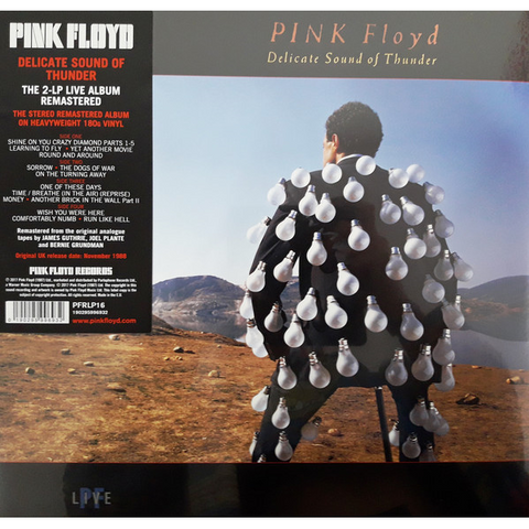 PINK FLOYD - DELICATE SOUND OF THUNDER (LP - 1988 - live)