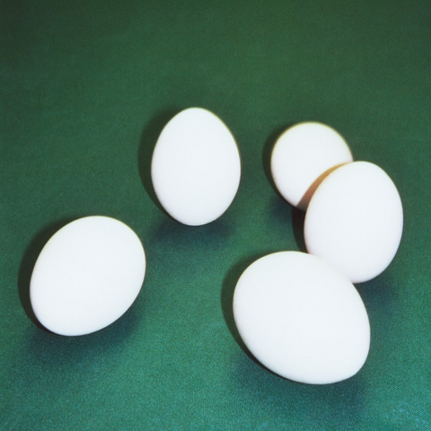 DUMBO GETS MAD - FIVE EGGS (LP - 2025)