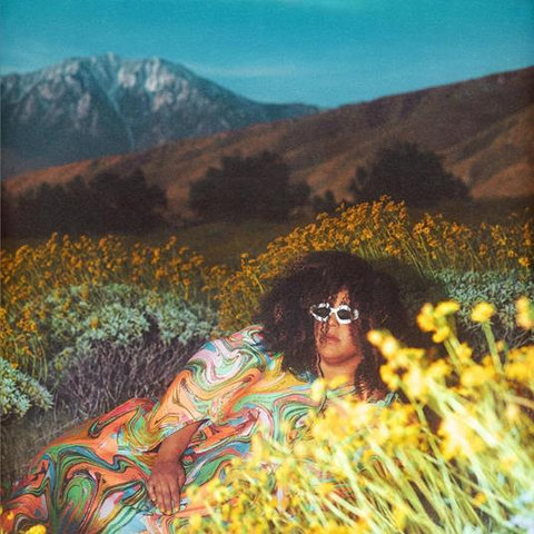 BRITTANY HOWARD - WHAT NOW (2024)