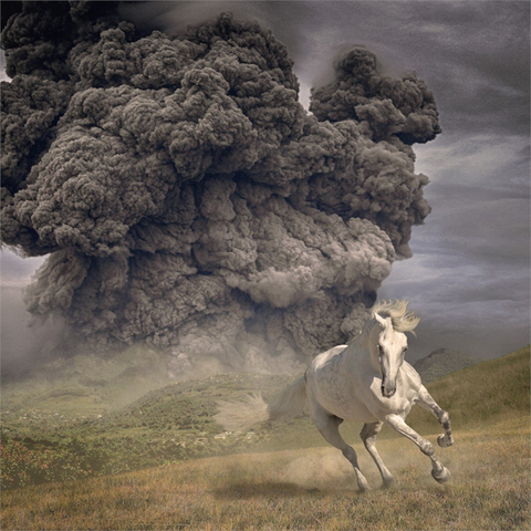 THE WHITE BUFFALO - YEAR OF THE DARK HORSE (LP - grigio - 2023)