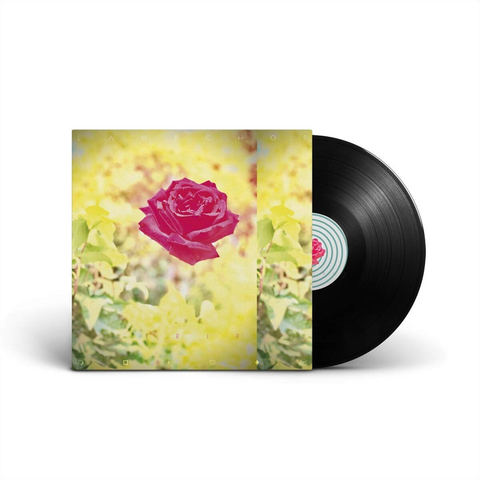 LAMBCHOP - TRIP (LP - 2020)