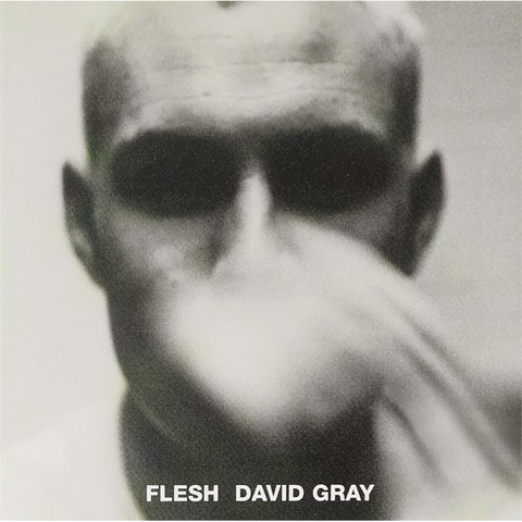DAVID GRAY - FLESH (1994)