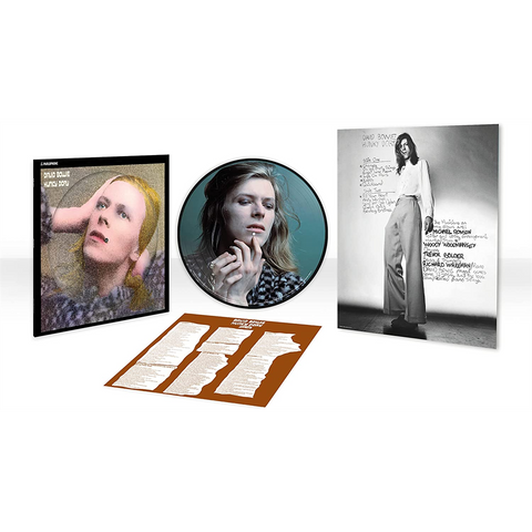 DAVID BOWIE - HUNKY DORY (LP - PICTURE DISC | 50TH | REM22 - 1971)