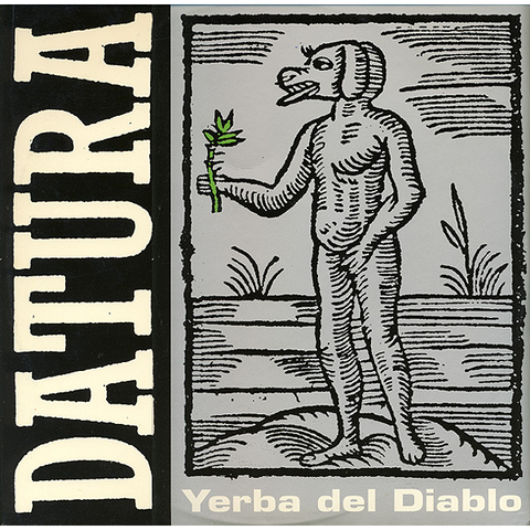 DATURA - YERBA DEL DIABLO (12")