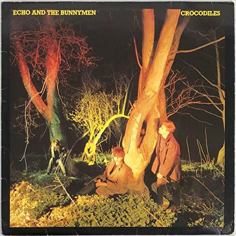 ECHO & THE BUNNYMEN - CROCODILES (1980 - REM25)