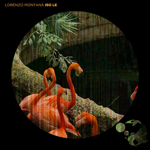 LORENZO MONTANA' - ISO LE (2018)