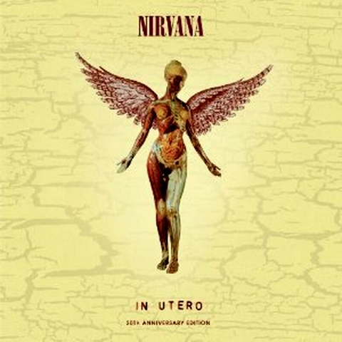 NIRVANA - IN UTERO (1993 - 20TH ANNIVERSARY)