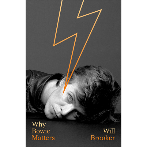 DAVID BOWIE - WHY BOWIE MATTERS (libro)
