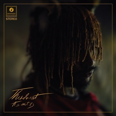 THUNDERCAT - IT IS WHAT IT IS (LP - RED LTD - 2020)