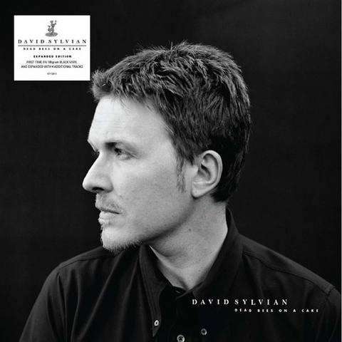 DAVID SYLVIAN - DEAD BEES ON A CAKE (LP - 1999)