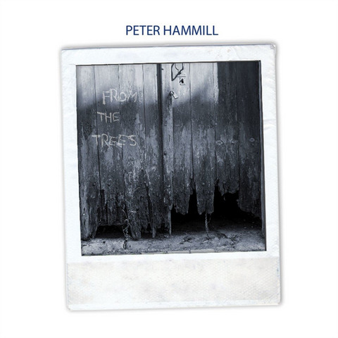 HAMMILL PETER - FROM THE TREES (2017)