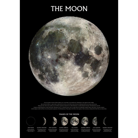 MOON - PHASES - poster - 866 - 61x91,5cm