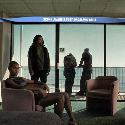 SKUNK ANANSE - POST ORGASMIC CHILL: EXPANDED EDITION (2CD - 1999 | REM'24)