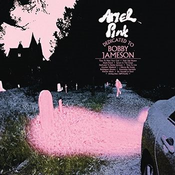 ARIEL PINK - DEDICATED TO BOBBY JAMESON (2LP - 2017)