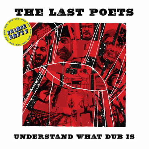 THE LAST POETS - UNDERSTAND WHAT DUB IS (LP - 2019)