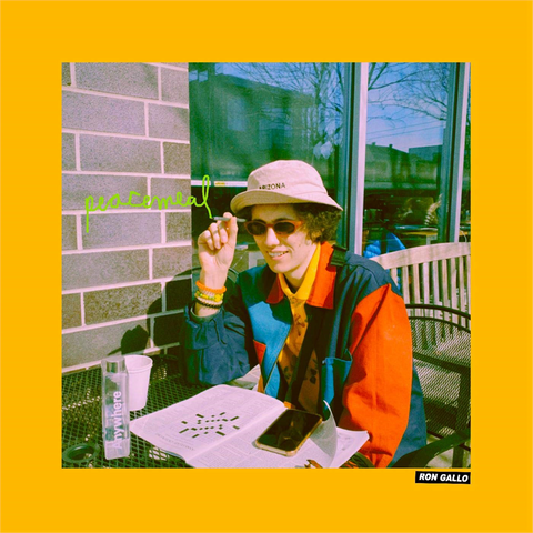 RON GALLO - PEACEMEAL (LP - 2021)