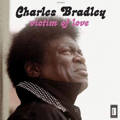 CHARLES BRADLEY - VICTIM OF LOVE (LP)