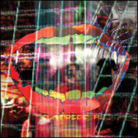 ANIMAL COLLECTIVE - CENTIPEDE HZ (2012)