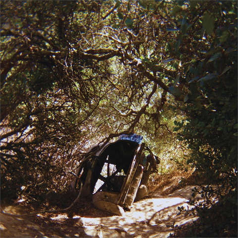 TY SEGALL - POSSESSION (LP - 2025)