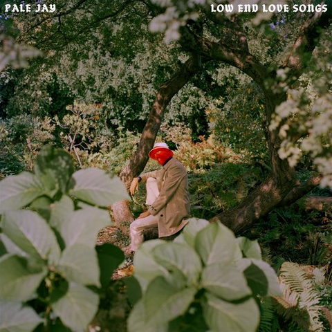 PALE JAY - LOW END LOVE SONGS (LP - CLRD - 2024)