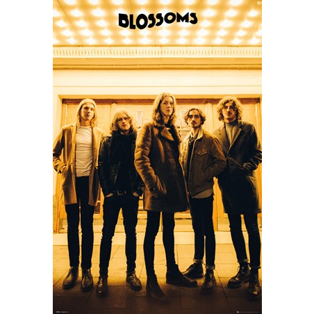 BLOSSOMS - IN THE LIMELIGHT - 631 - POSTER