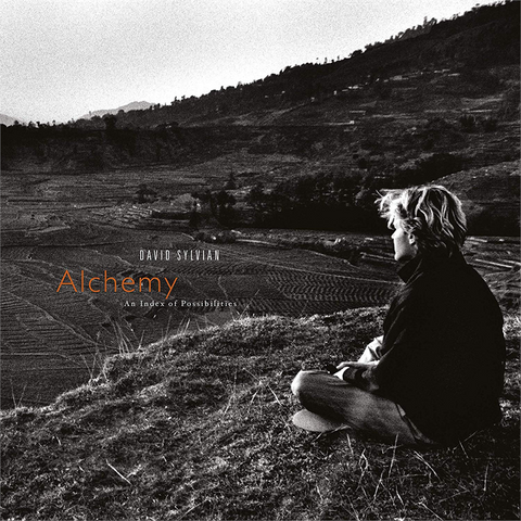 DAVID SYLVIAN - ALCHEMY: AN INDEX OF POSSIBILITIES (LP - 1985)
