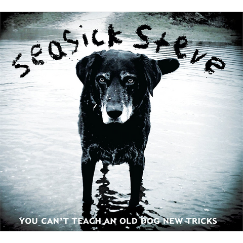 SEASICK STEVE - YOU CAN'T TEACH AN OLD DOG (LP)