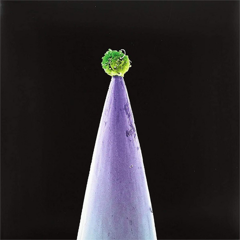 PETER GABRIEL - NEW BLOOD (2011)