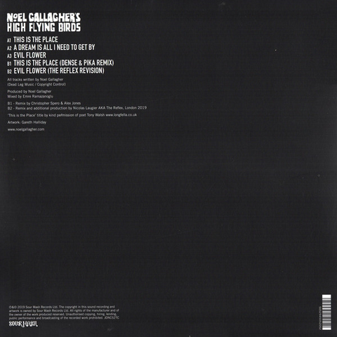 NOEL GALLAGHER'S HIGH FLYING BIRDS - THIS IS THE PLACE (12'' - 2020)