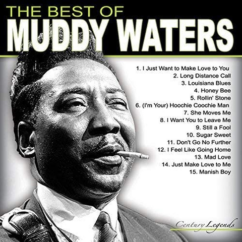 MUDDY WATERS - THE BEST OF MUDDY WATERS (LP - 2017)