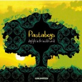 PASTABOYS - DAYLIGHT IN THE INVISIBLE WORLD (2LP)