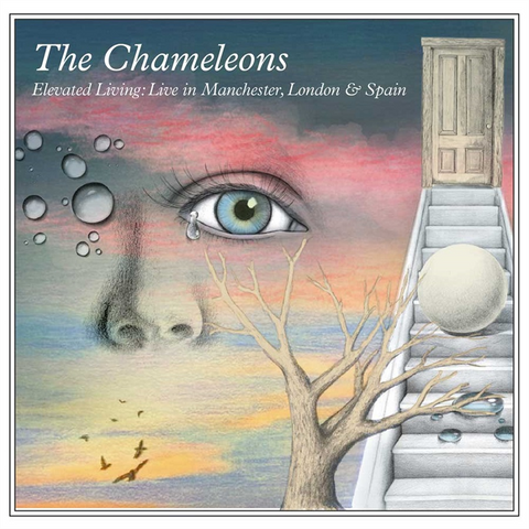THE CHAMELEONS - ELEVATED LIVING