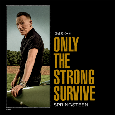 BRUCE SPRINGSTEEN - ONLY THE STRONG SURVIVE (2LP - INDIE | LTD - 2022)