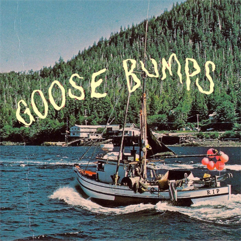 BOYSCOTT - GOOSE BUMPS (LP - CLRD | REM'25 - 2015)