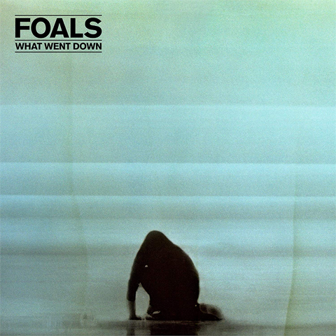 FOALS - WHAT WENT DOWN (LP - CLRD | REM25 - 2025)
